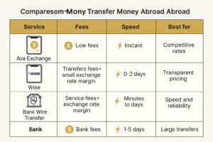 Infographic comparing Ava Exchange, Wise, Remitly, and bank wire transfers by fees, speed, and best use cases.